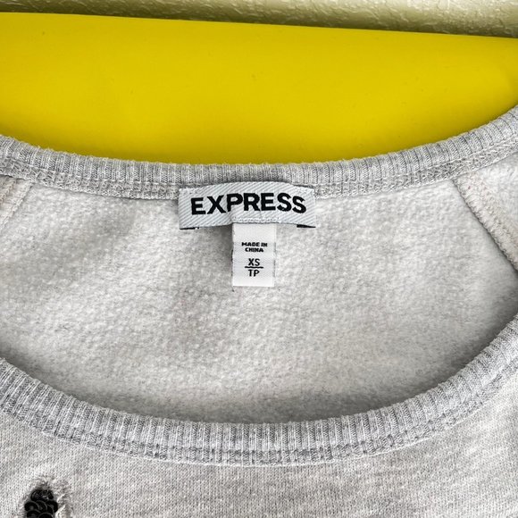 Express Cropped Sweater with Sequin and Lace Owl, Heather Gray/Cream, Size XS - Picture 4 of 14
